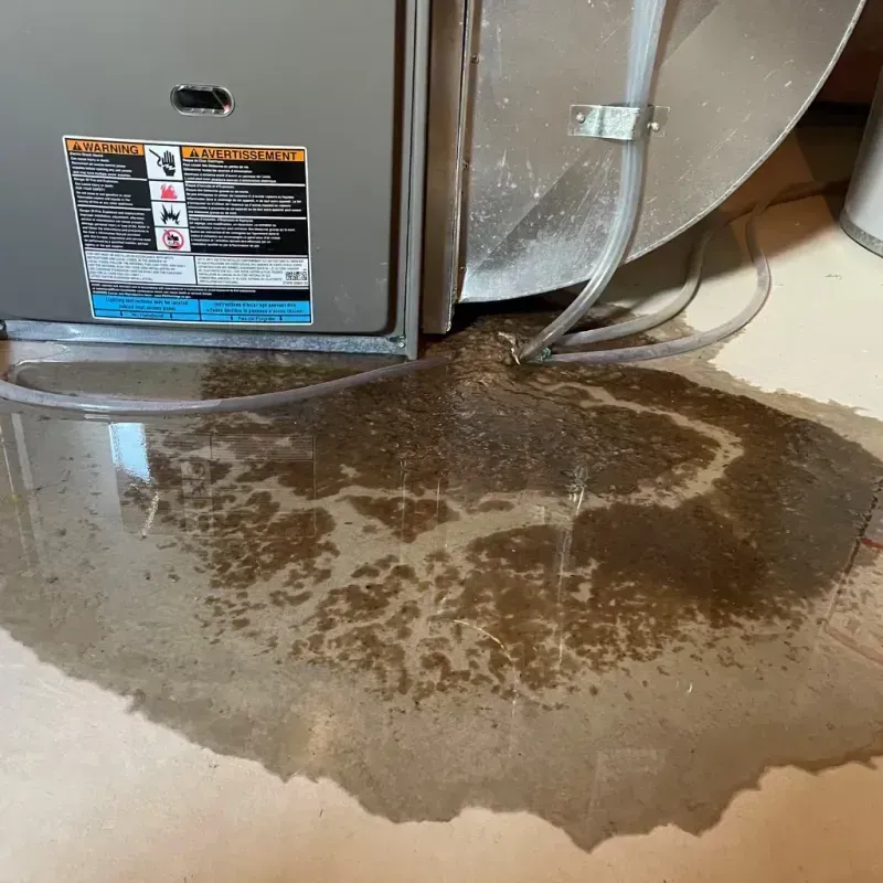 Appliance Leak Cleanup in Vinton County, OH